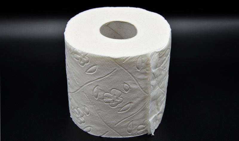 Tyv stak af med toiletpapir under indbrud på Vemb Skole
